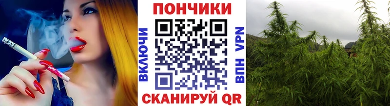 купить наркотики цена  Майкоп  Бошки марихуана план 
